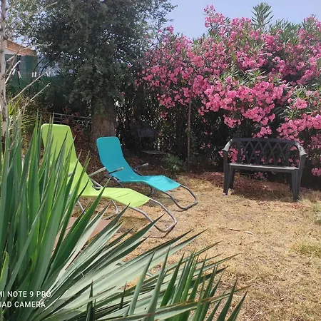 Porticcio Dans Avec Piscines 4-6 Personnes Briloc *
